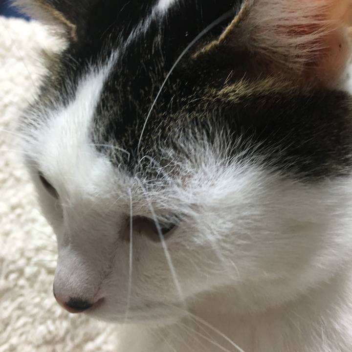 D9718e06 3394 4b61 8405 c8b51283b3e9