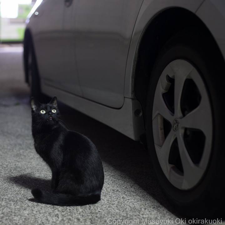 D971ac3b d3f0 4dca b632 41f1a79ecf54