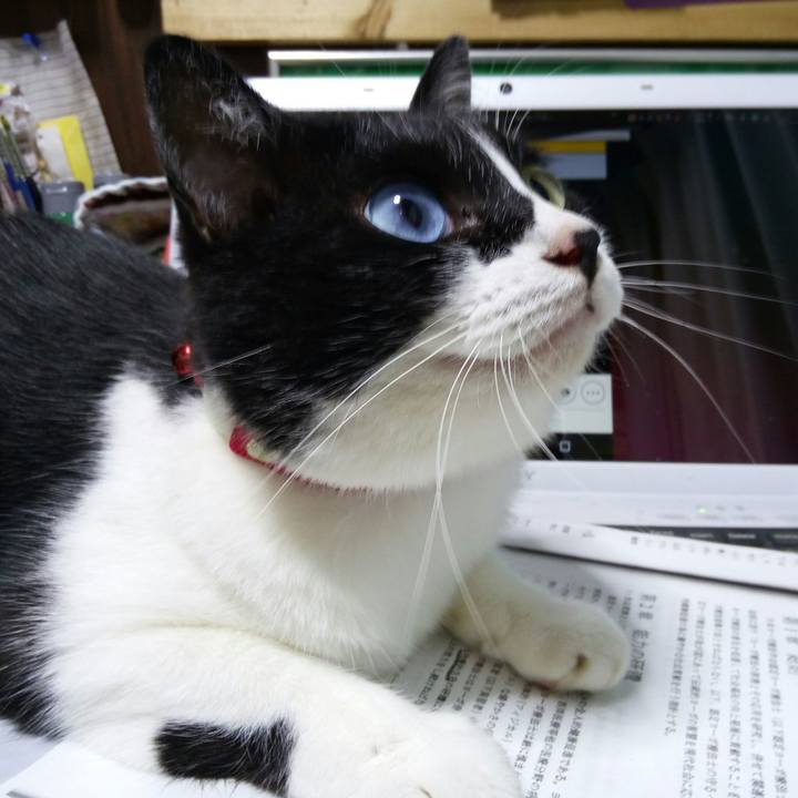 D971f8b3 e440 4c9b b9d2 6ab41a5ddb39