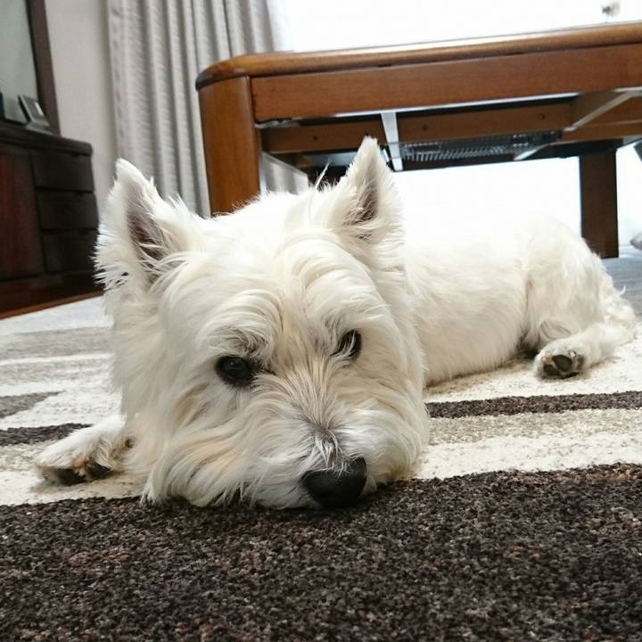 D9720ba4 c679 49fc b775 5dd32faa56d1