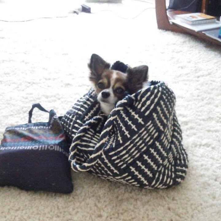 D9728727 3115 44e5 bf25 1cd902247415