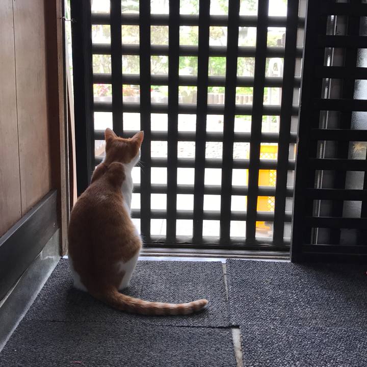 D9729f01 84fd 4add 87bd a467cfc6a85f