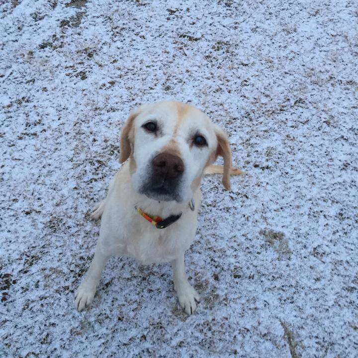 D9731b94 aea6 4c3d 9c00 27030fcbdce5