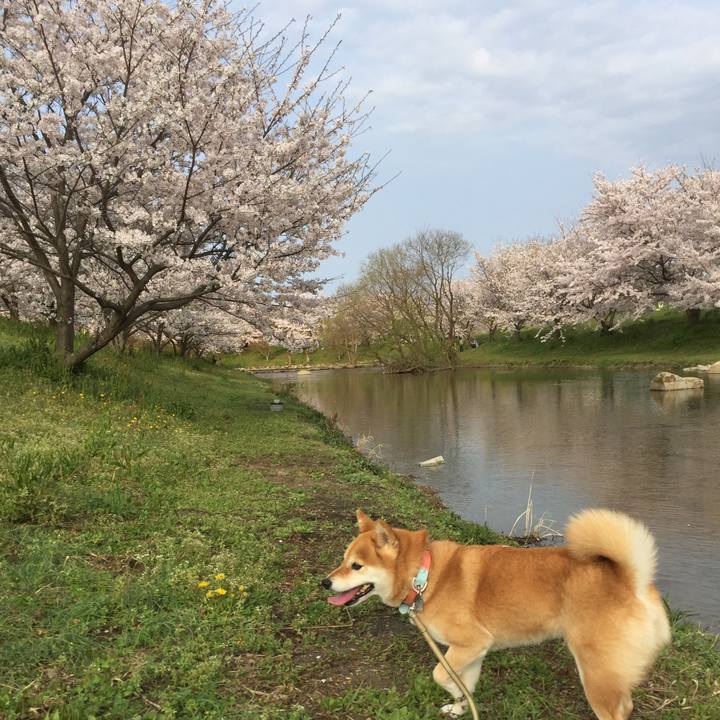 D9733c0f 4837 49ab b039 954d932ac90d