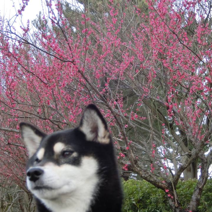 D9755c3a 66dc 4cf4 b842 9c320175d074