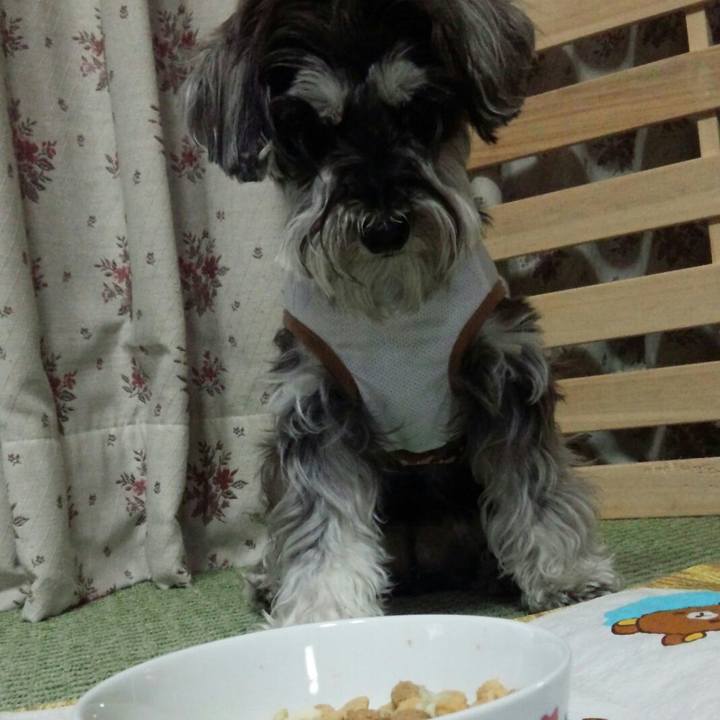 D97586ec 3ba1 4692 8639 13042bc35946