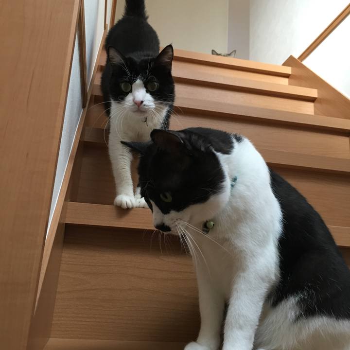 D975971a bc9c 4267 a9e5 5b781ff25dcd