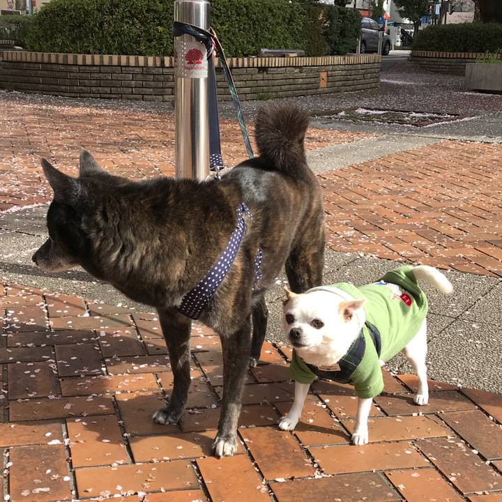 D975c3e8 d0d4 4a63 b99f 68f38c1202c0