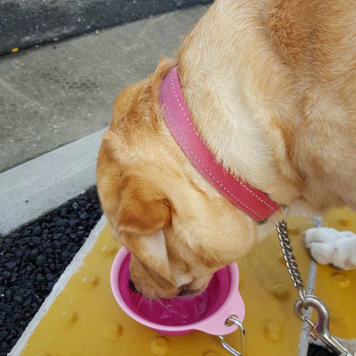 D976016f a7a2 4e17 bbdd 038139983b54