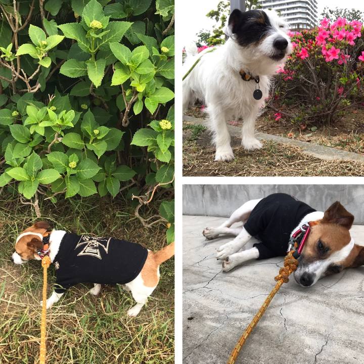 D976c2f5 2efe 4abb 9bd9 60e7c242c8c5