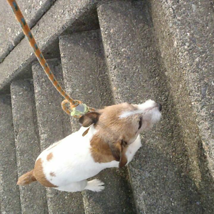 D9773f39 dcbb 46cc a24d b0d755fb3758