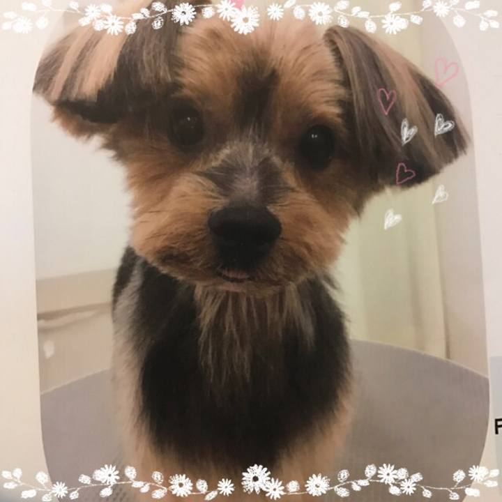 D97743ae 70e8 444e 9950 e190558a5773