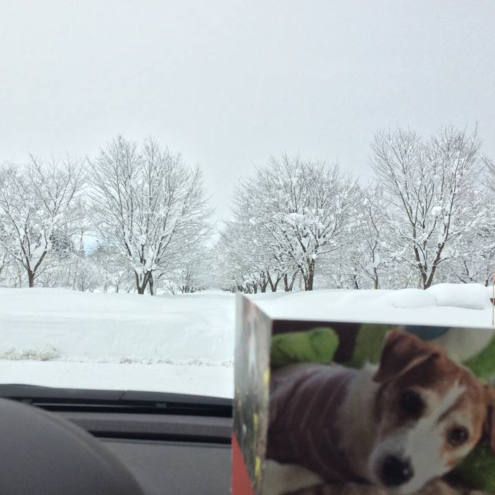 D9778103 31b1 4f38 89ab 0d59c867ff98