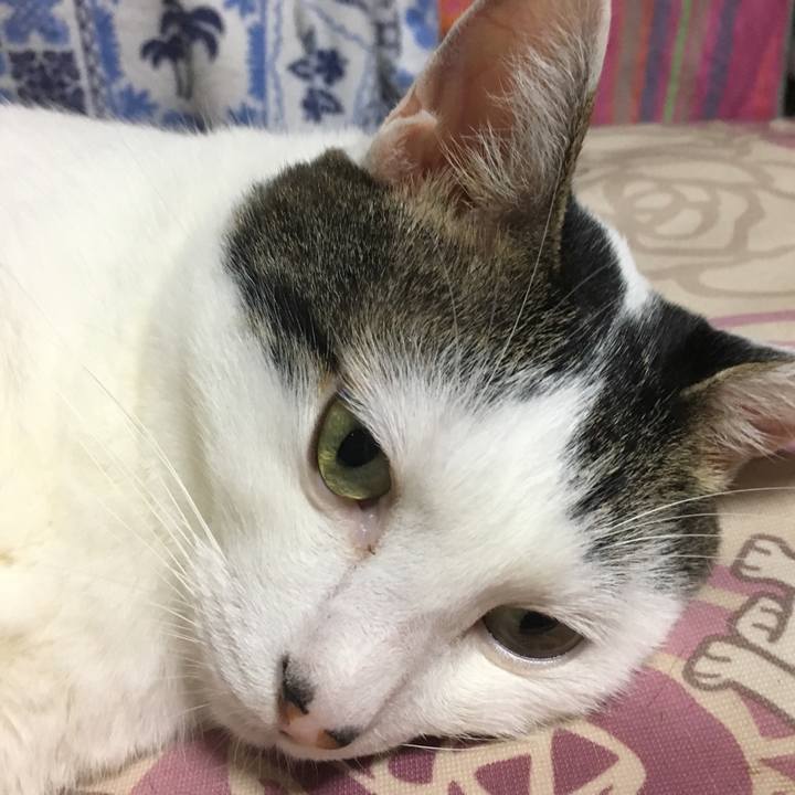 D977a685 f5ef 460d b450 a7e21e14e2af