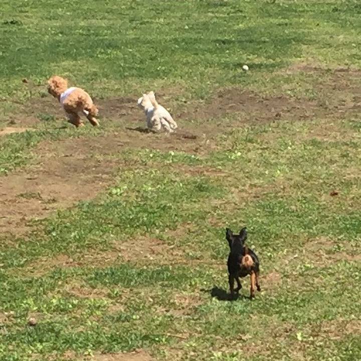 D977af4c fed8 440d 86cd 55af0f4c6e49