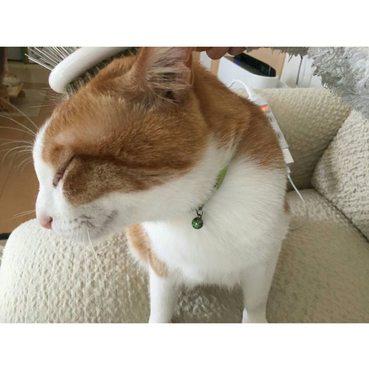 D977c874 9340 4f14 a25f 3db9cd36501e