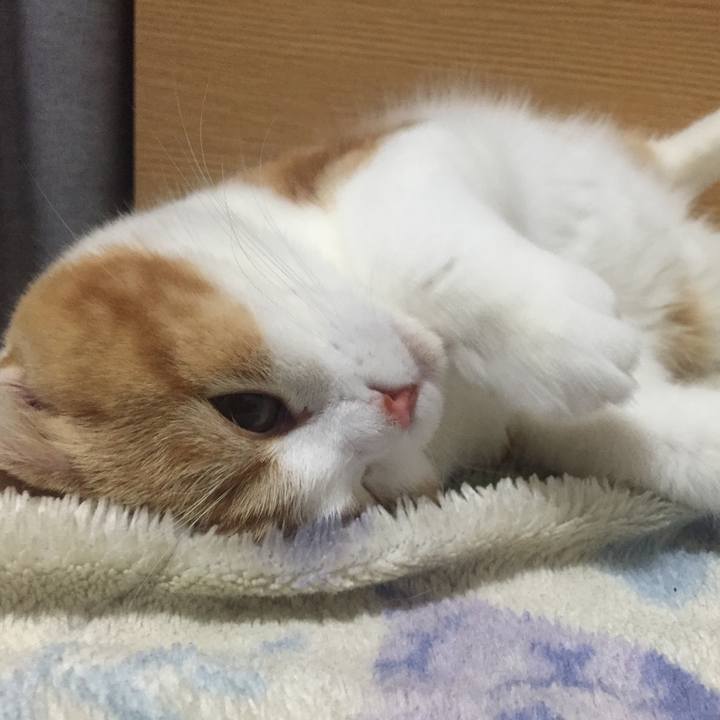 D9780b8a a921 4410 be62 20e6fe8d1fdf