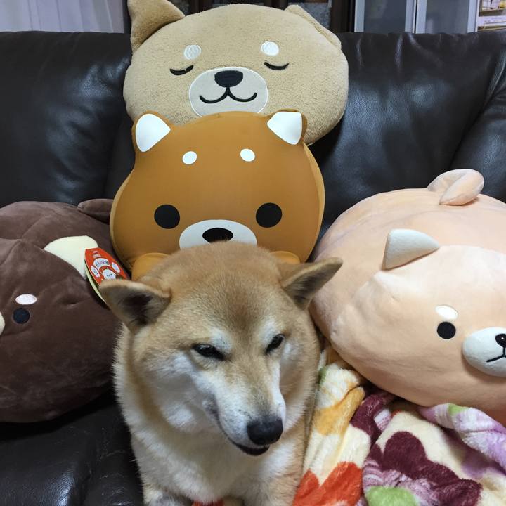 D9785e5a 7b16 4dd2 9a26 f3ee6903ab35