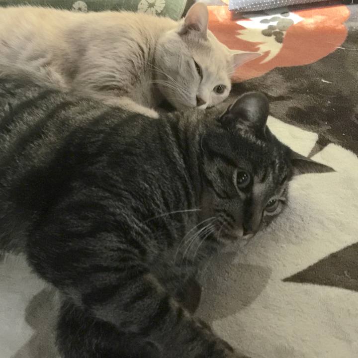 D97980dc 2f3f 4ce1 8e38 e69b3e307ce2