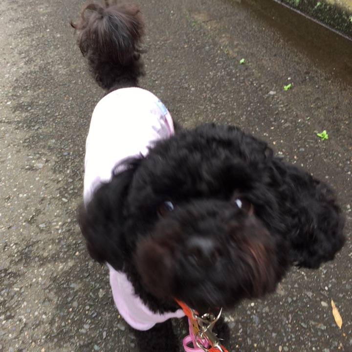 D979c0b6 df92 4c28 9ccd f8abd1b58851