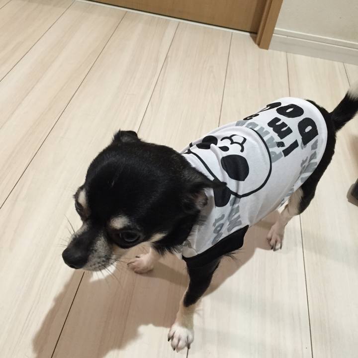 D97a1f89 1a46 4b31 9404 4461d5a0a465