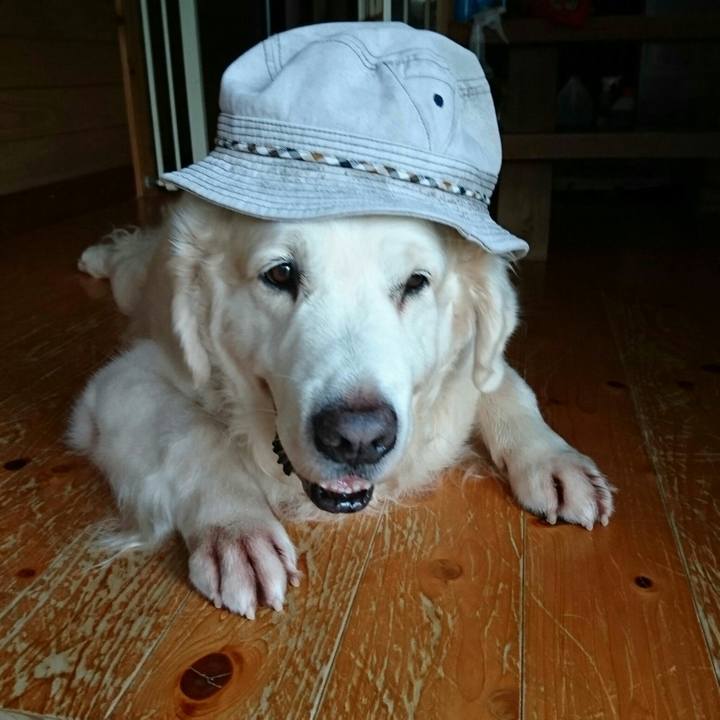 D97a22ff 5e50 45c1 b15a e93dd56945a2