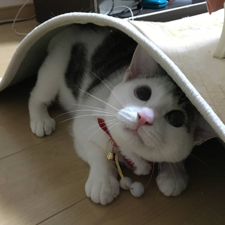 D97a7a26 8ebf 481f 8e5b d57a75408ee8