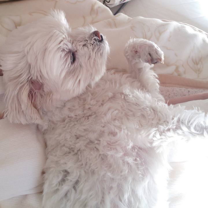 D97aab66 6d0b 4b87 9405 375536110aa7