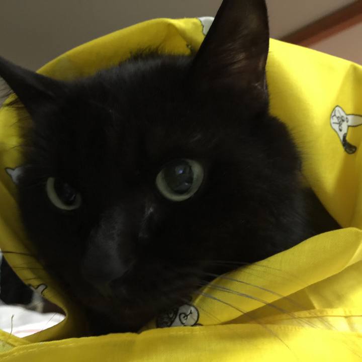 D97bc6b6 9767 4f06 b9f1 6cd376293ee5