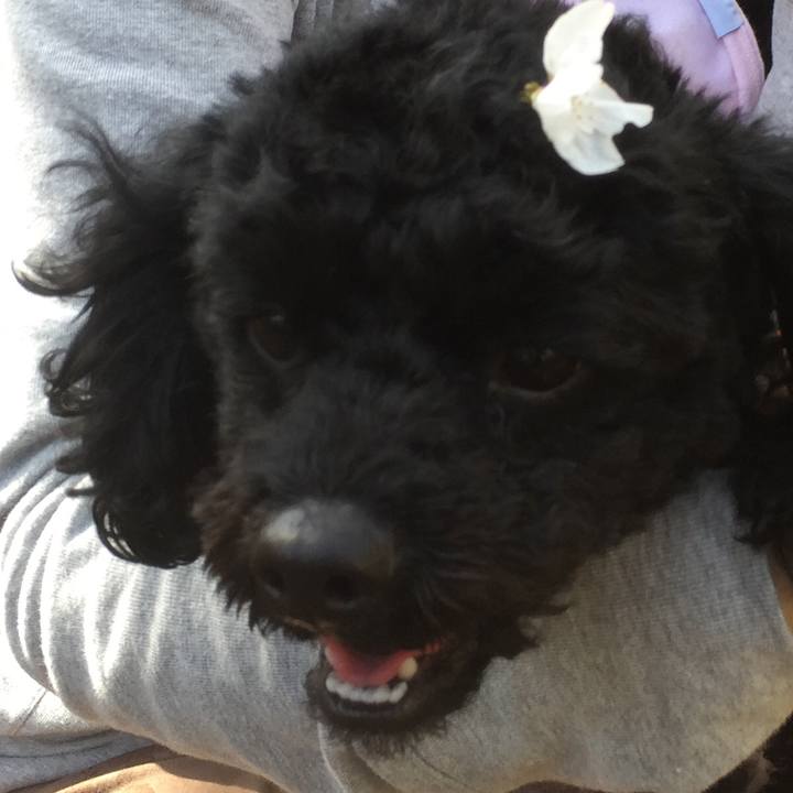 D97bc71b 7812 47b1 9063 f42b0774452b