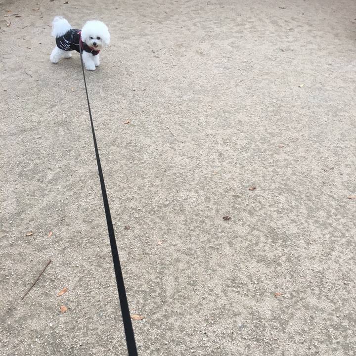 D97dc1bd 5910 47ca b987 f05a8a72e6e2