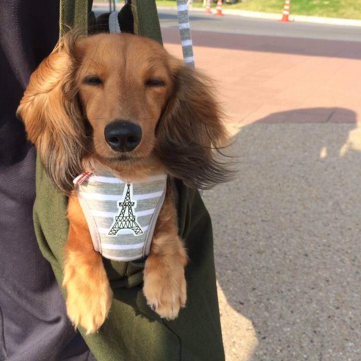 D97dc6fb eec3 4a35 8dd2 276062627cb2