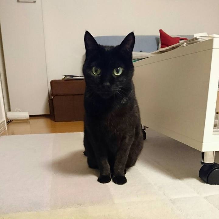 D97de2c1 01d1 4bd5 a328 d53595521c3f