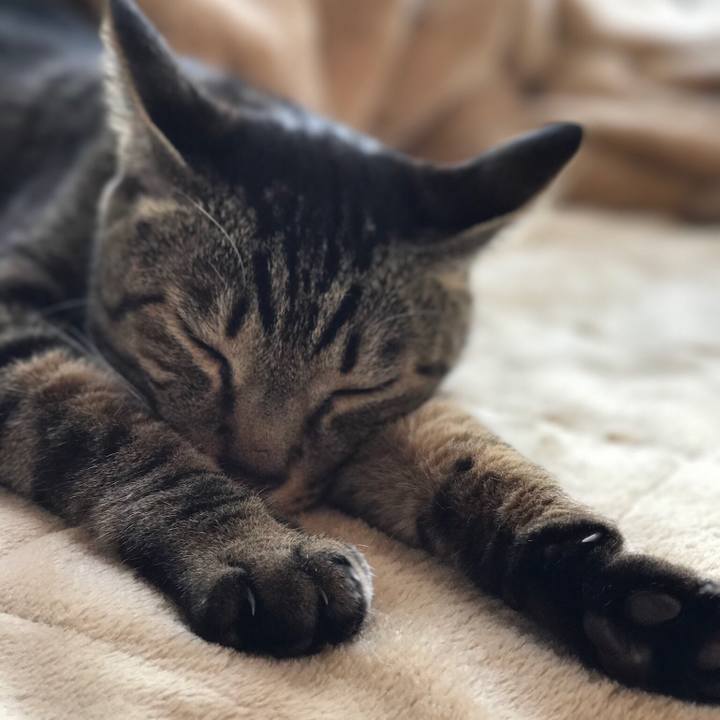 D97de863 139c 4a49 9bf6 e4dc2293deb1