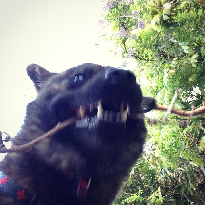 D97df8af 6bcd 4e87 ba7b 998991452ed8