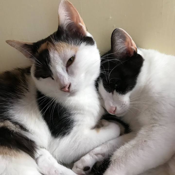 D97e58e1 767f 4c15 bb34 d71bc88240f1