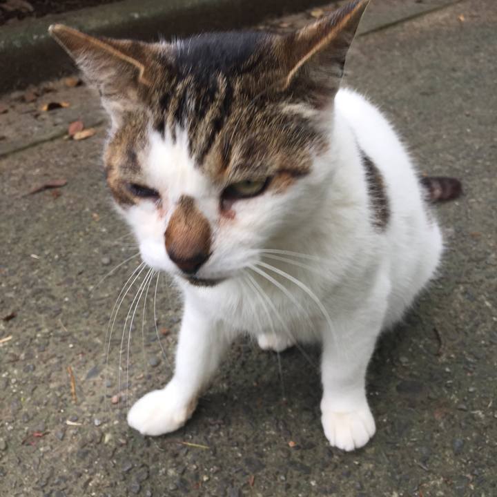 D97e9ef9 660c 4660 8fb6 a5e09a8ab14c