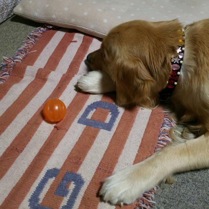 D97efa37 807d 4523 b3a2 bdec111f8d27