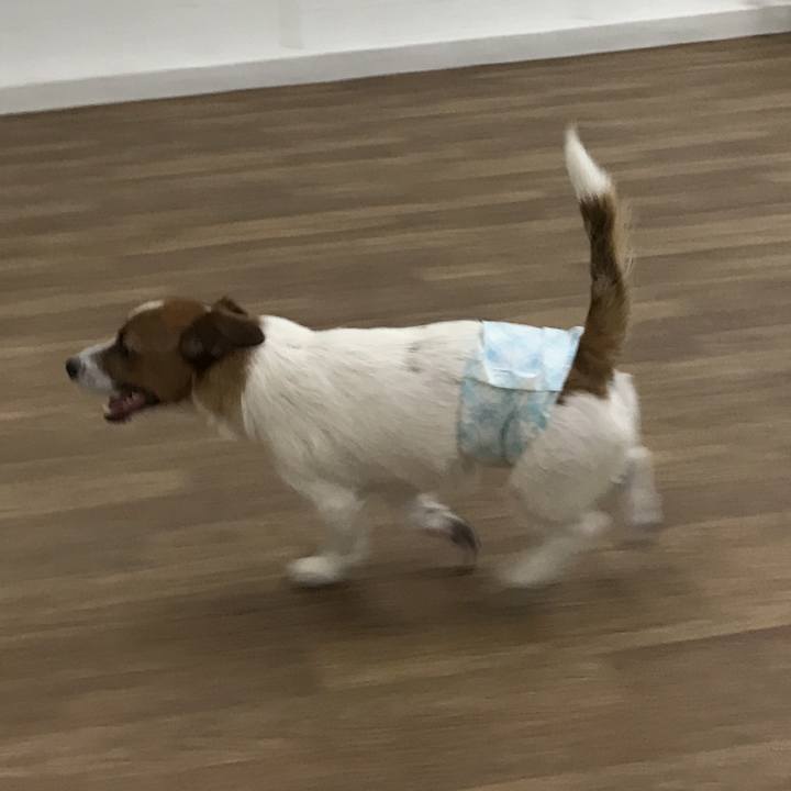 D97f8f52 bf58 4fd1 a0f1 ab705a587c1a