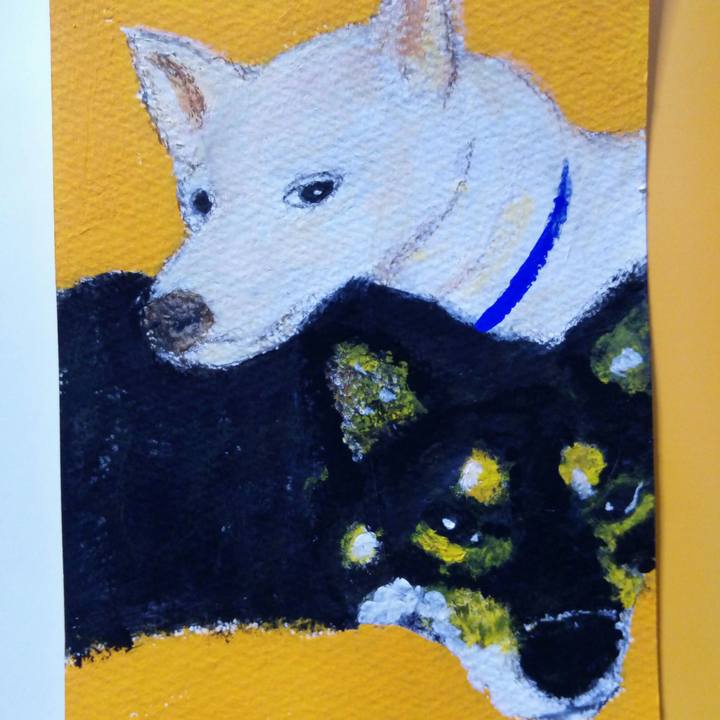 D98002a6 9925 4cd4 b260 497aceb75278