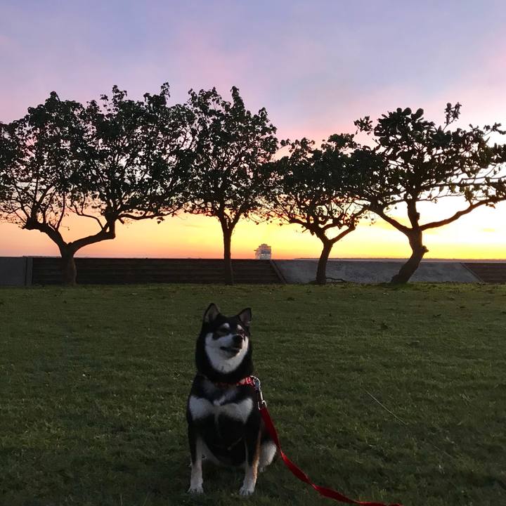 D9803ce6 bbc2 432d aec6 53ea62148ae1