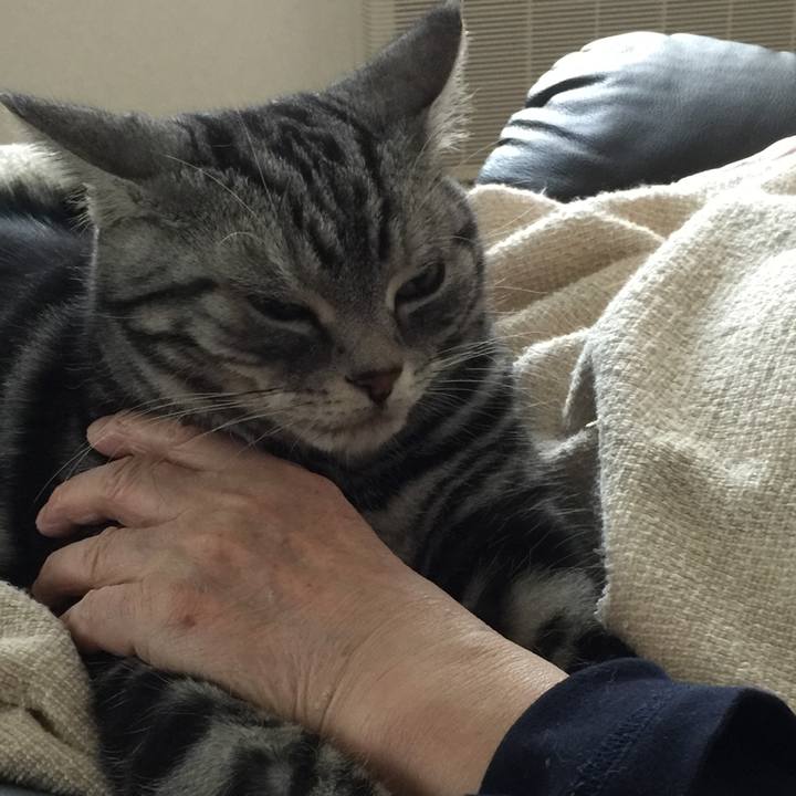 D980b37d 1573 424e 9db3 6f32d942259b