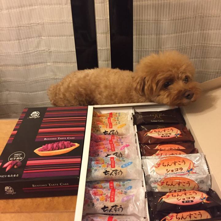 D9813253 038a 48f9 94be a0ebb2914e88