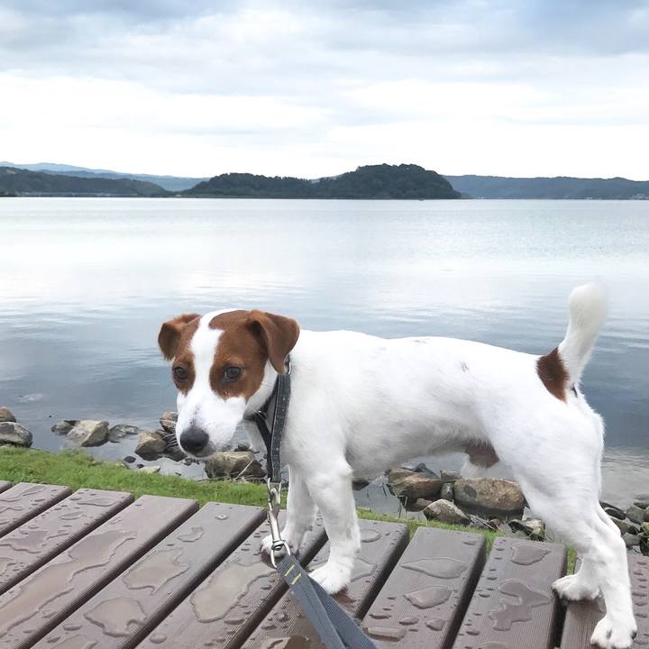 D981795b fe59 4052 a1fe f9d1ad459cc9