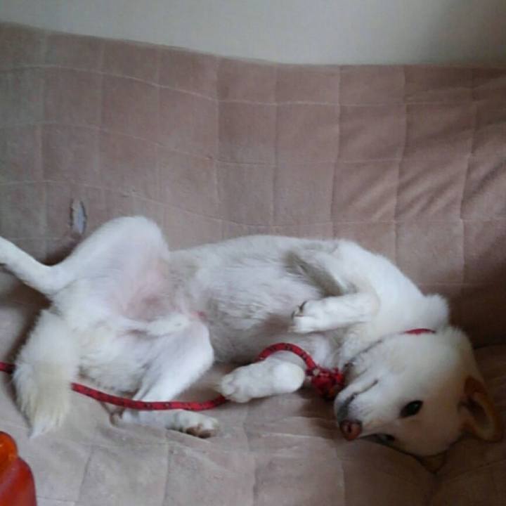 D9819242 bf2c 4886 985a f70c26af7449