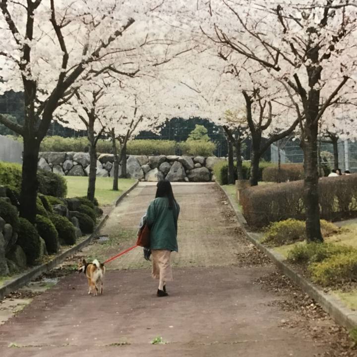 D981caf6 ccae 434c 9d8c a8bb0228bc43