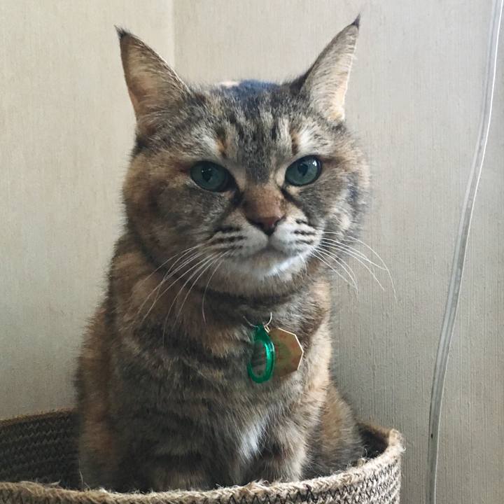 D981d9b3 971c 4b4d 9992 2239236ae2d9