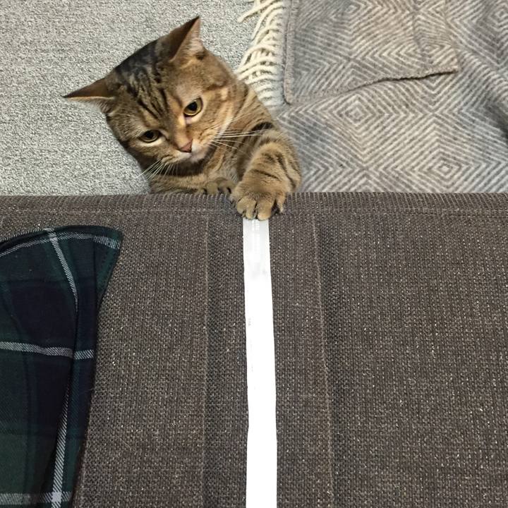 D9820e6b 61cd 407d b56a 4058e284154f