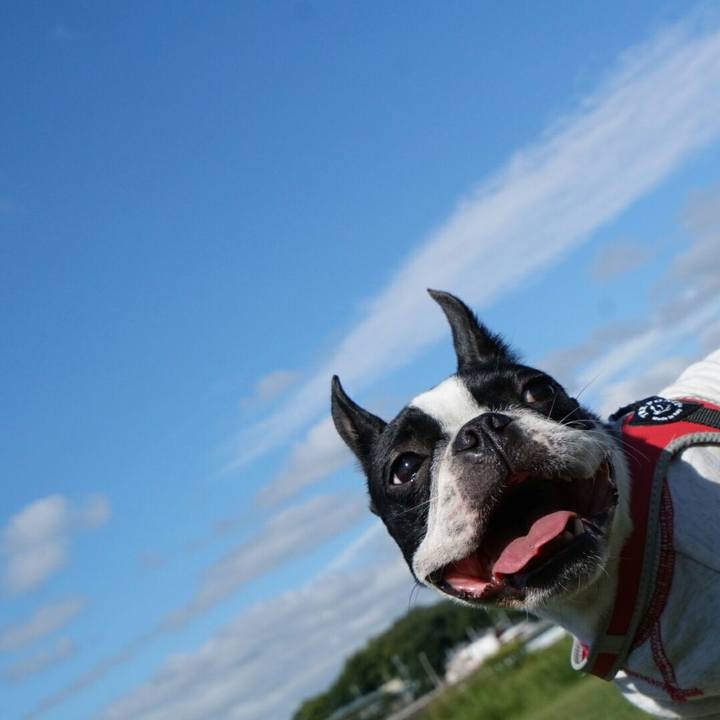 D98215b2 663f 4fcb 8114 277e115e92c7