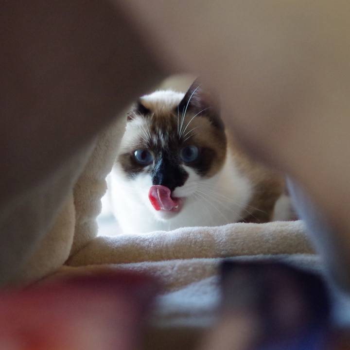 D982b891 bc17 4486 985e 13686ef00f0b